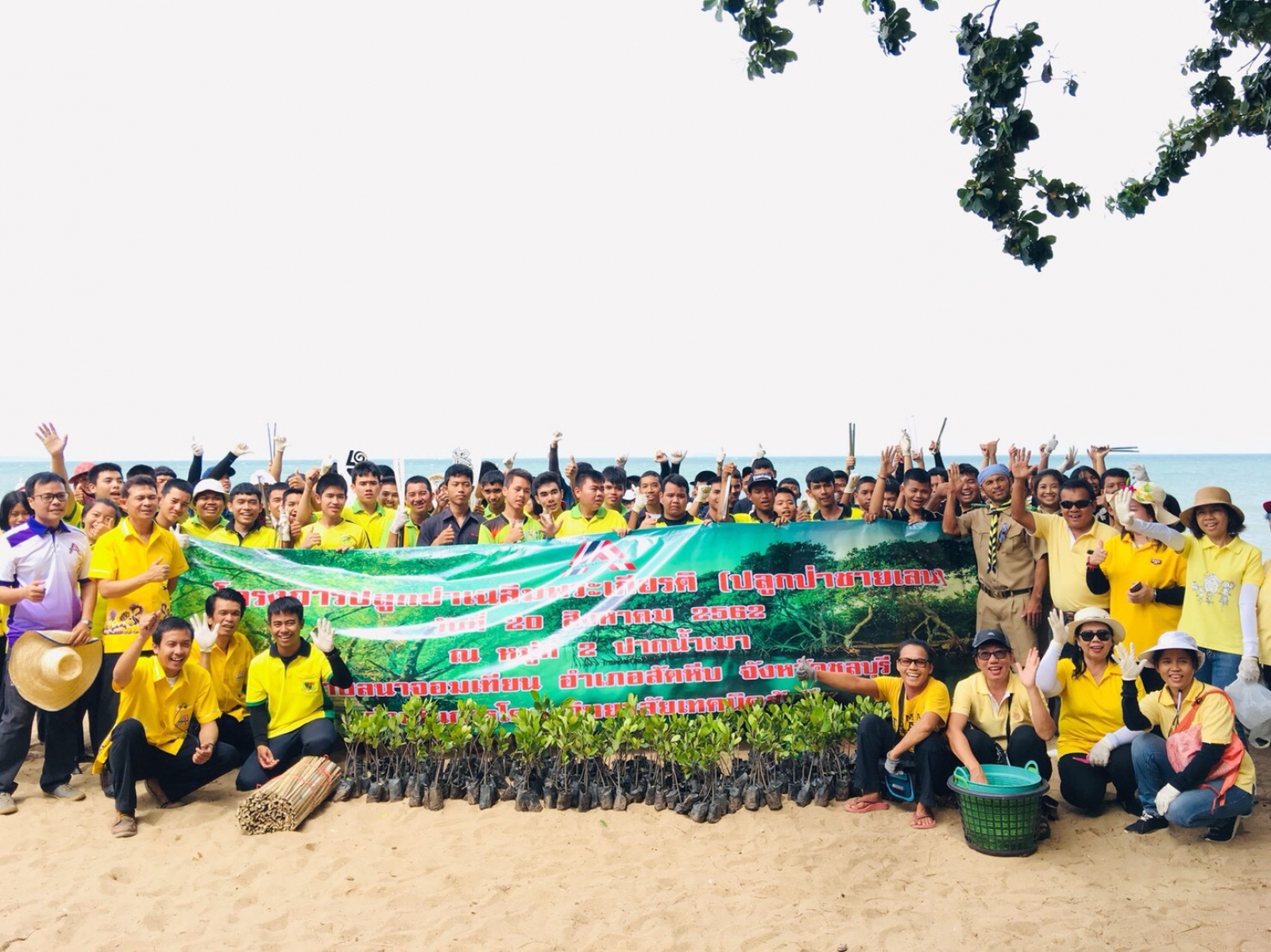 เก็บขยะชายหาดและปลูกป่าชายเลน 
