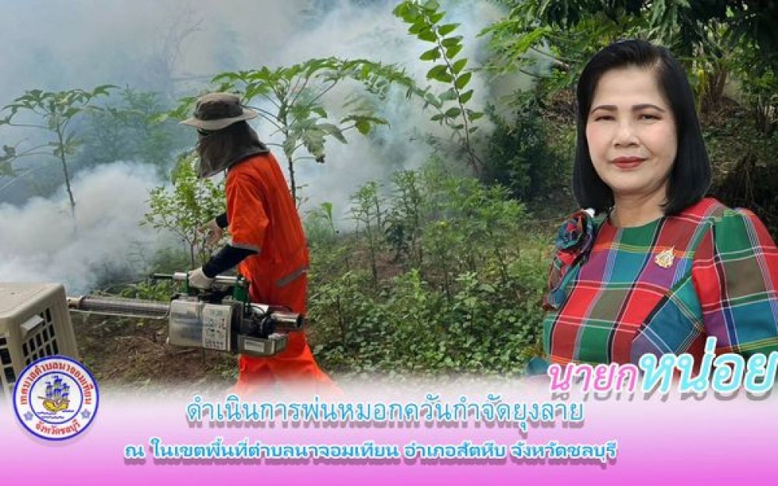 การพ่นหมอกควันกำจัดยุงลาย
