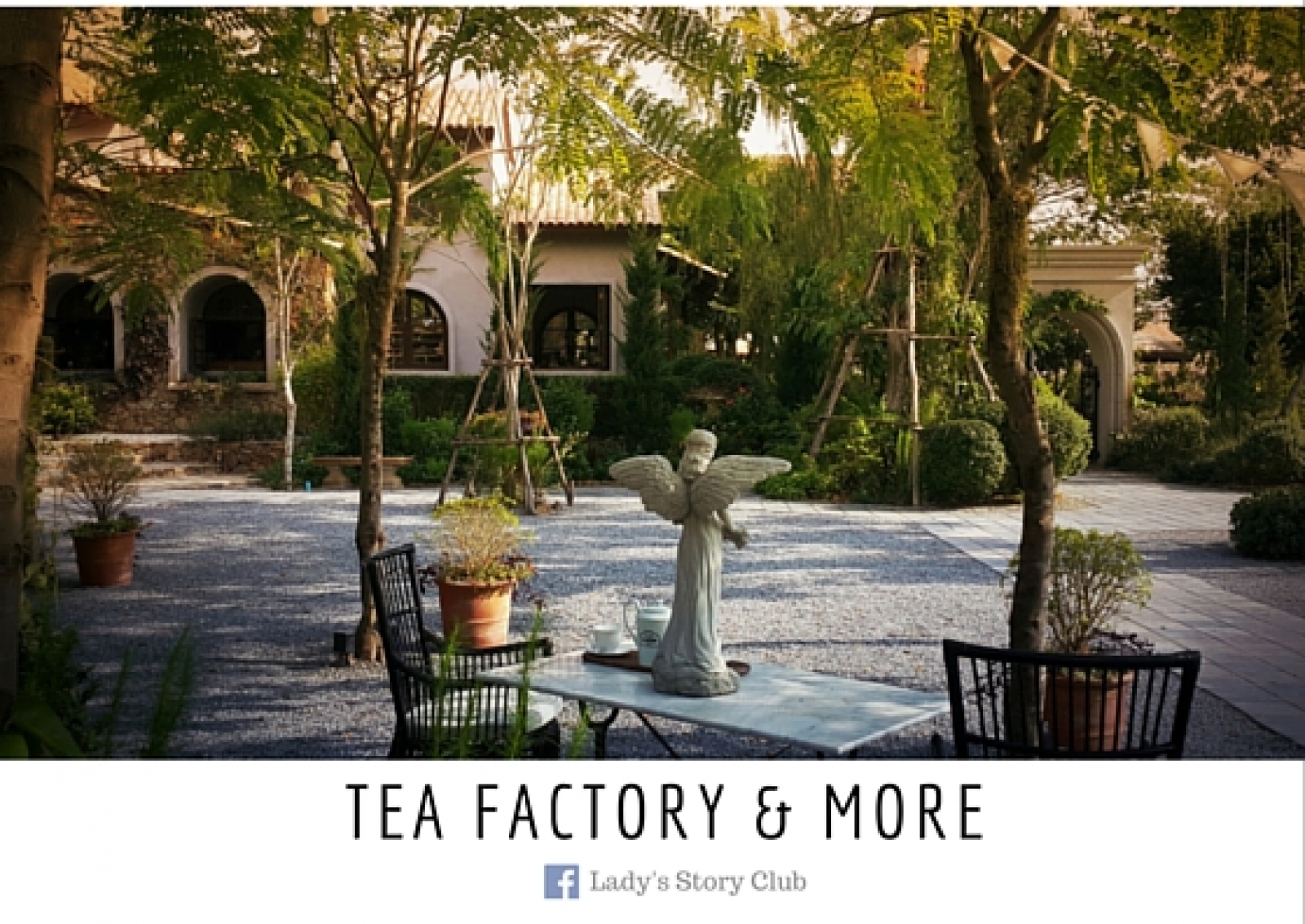 Tea Factory A La Campagne 