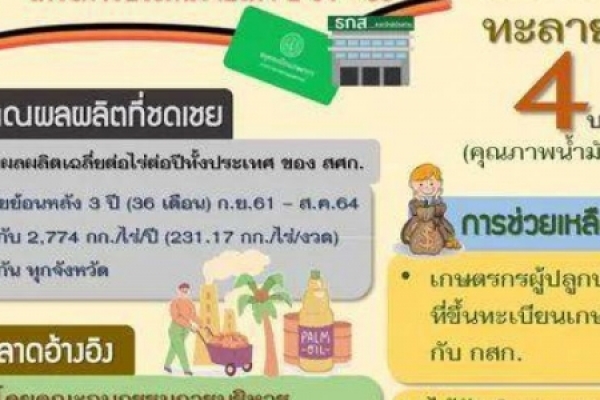 โครงการประกันรายได้เกษตรกรชาวสวนปาล์มน้ำมัน ปี 2564 - 2565