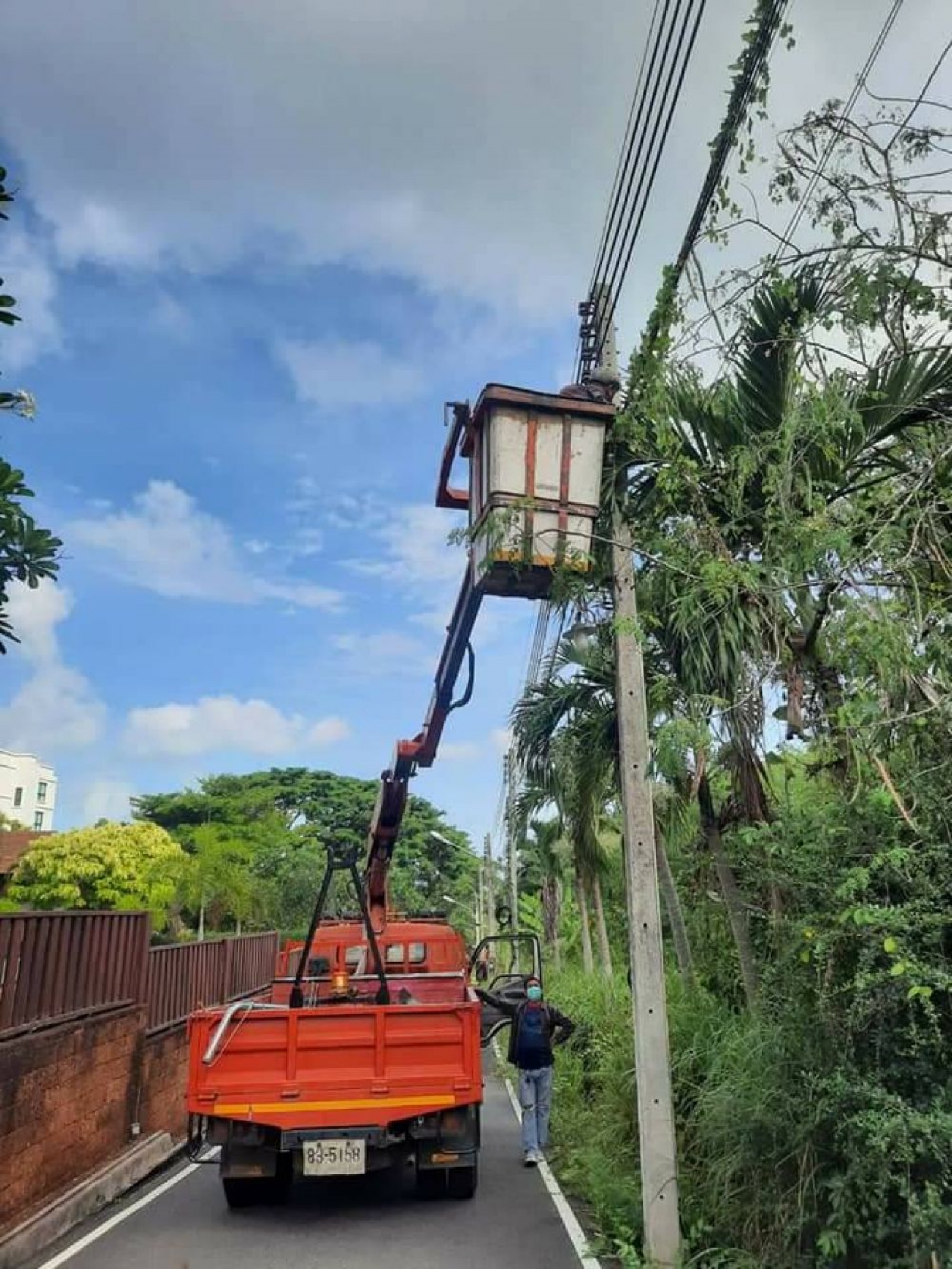 กองช่างดำเนินการซ่อมไฟซอยนาจอมเทียน 56/2 ตัดกิ่งมะพร้าวใส่ปุ๋ยใส่ทรายไล่หนอน ตัดหญ้าซอยนาจอมเทียน 22,48,50