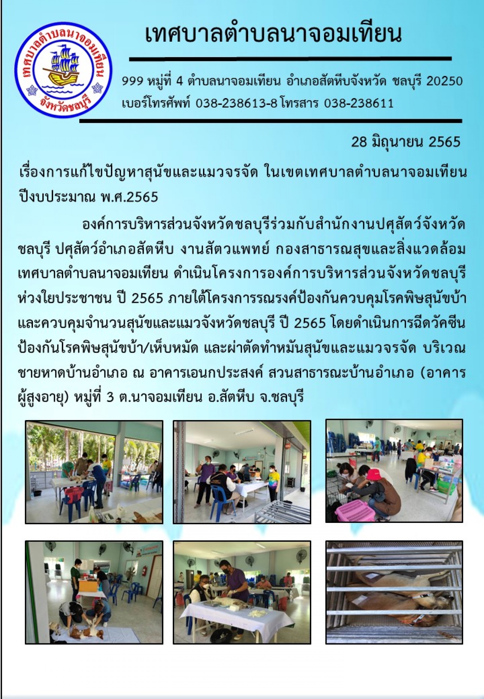 การแก้ไขปัญหาสุนัขและแมวจรจัด ในเขตเทศบาลตำบลนาจอมเทียน ปีงบประมาณ พ.ศ.2565