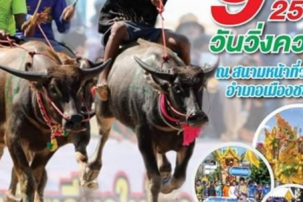 ข่าวประชาสัมพันธ์ งานประเพณีวิ่งควาย จังหวัดชลบุรีประจำปี 2565 (ครั้งที่151 วันที่ 1-9 ตุลาคม พ.ศ. 2565)