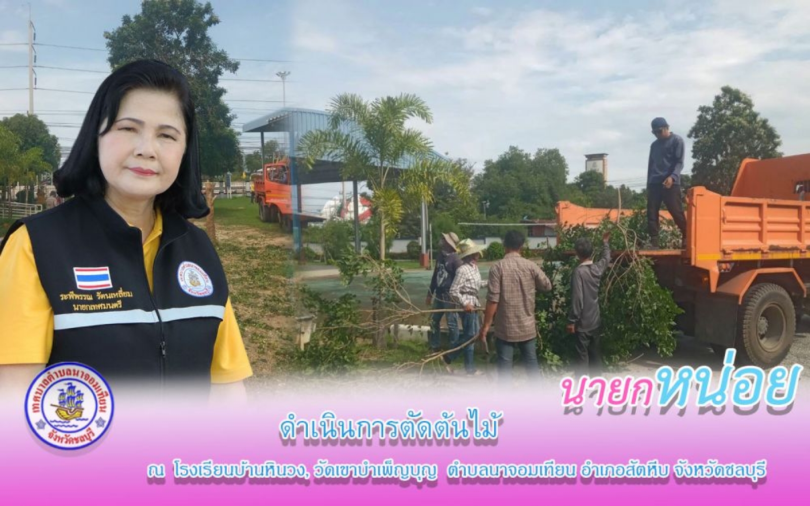 ดำเนินการปรับปรุงภูมิทัศน์ ตัดต้นไม้ 