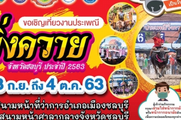 ประชาสัมพันธ์ประเพณีวิ่งควาย