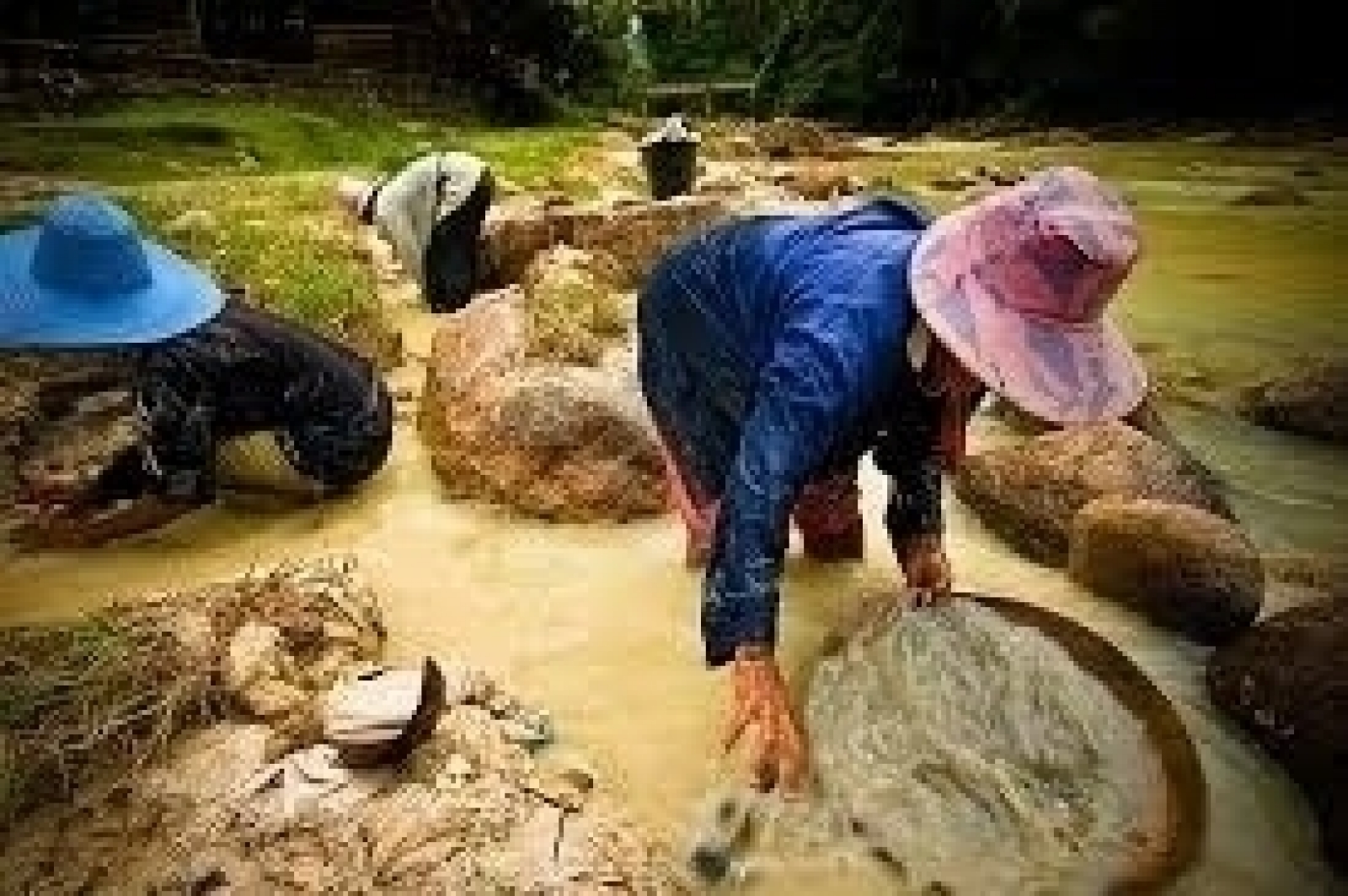 ประกาศกระทรวงอุตสาหกรรม เรื่อง กำหนดวิธีการร่อนแร่ หลักเกณฑ์ และวิธีการการแจ้งและการรับแจ้งการร่อนแร่ พ.ศ.2560