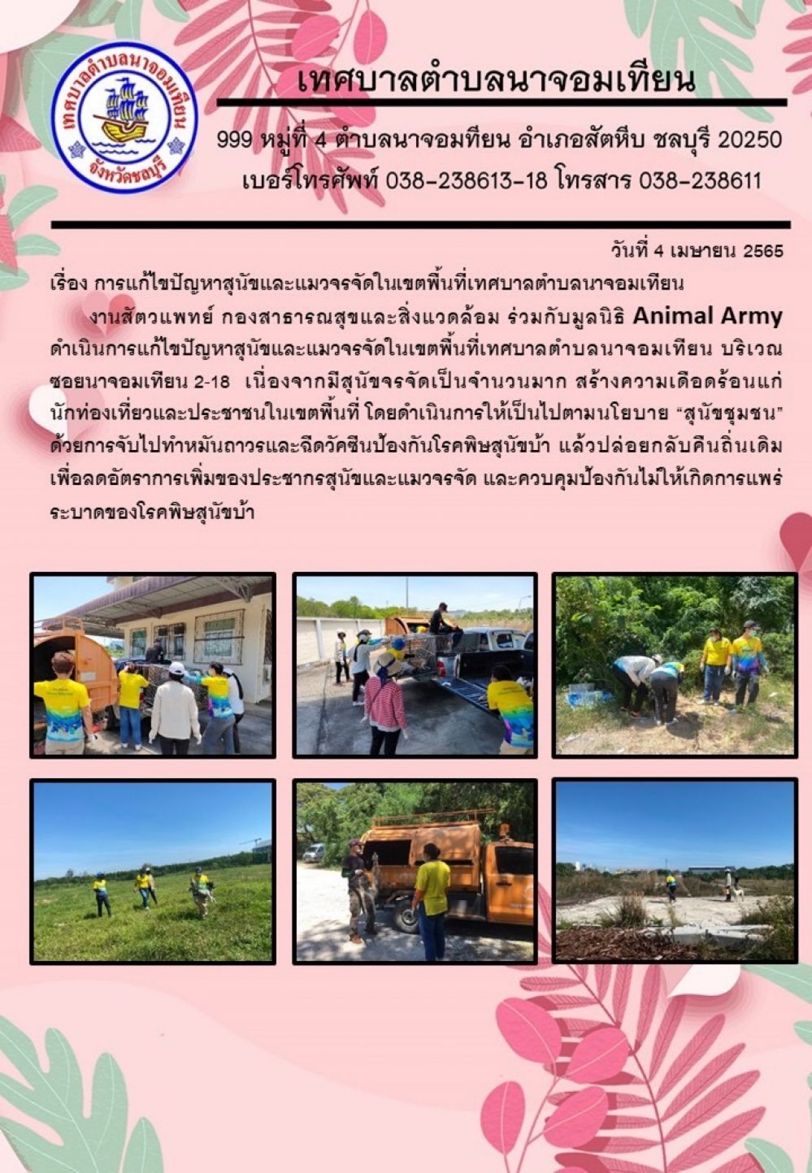 การแก้ไขปัญหาสุนัขและแมวจรจัดในเขตพื้นที่เทศบาลตำบลนาจอมเทียน