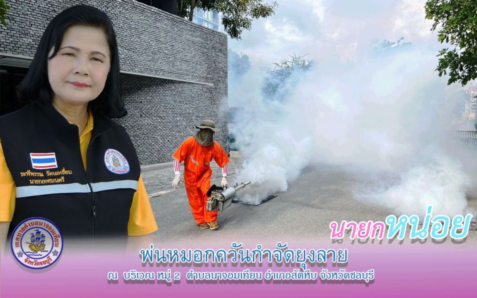 การพ่นหมอกควันกำจัดยุงลาย