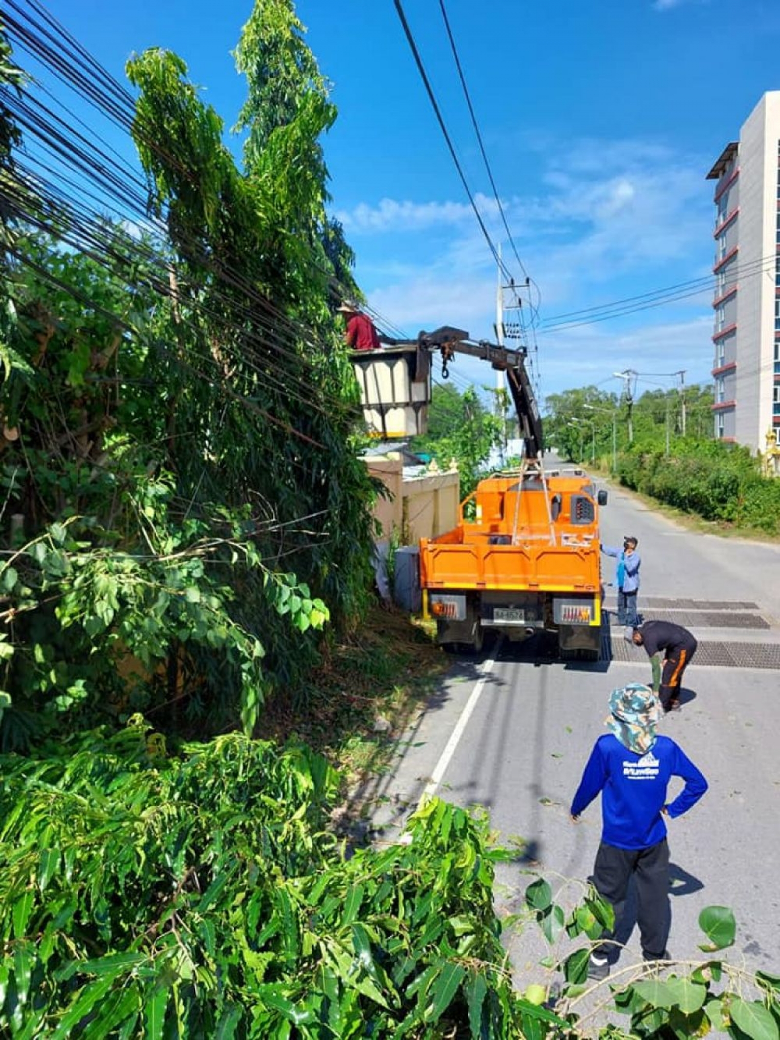 ตัดกิ่งไม้ซอยนาจอมเทียน 6 ข้างวัดนาจอมเทียน