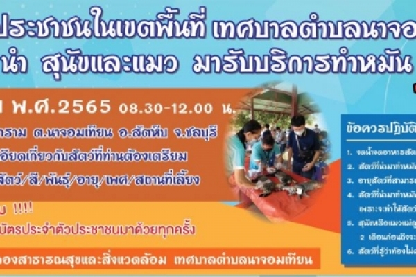กิจกรรมทำหมันสุนัขและแมว ฟรี