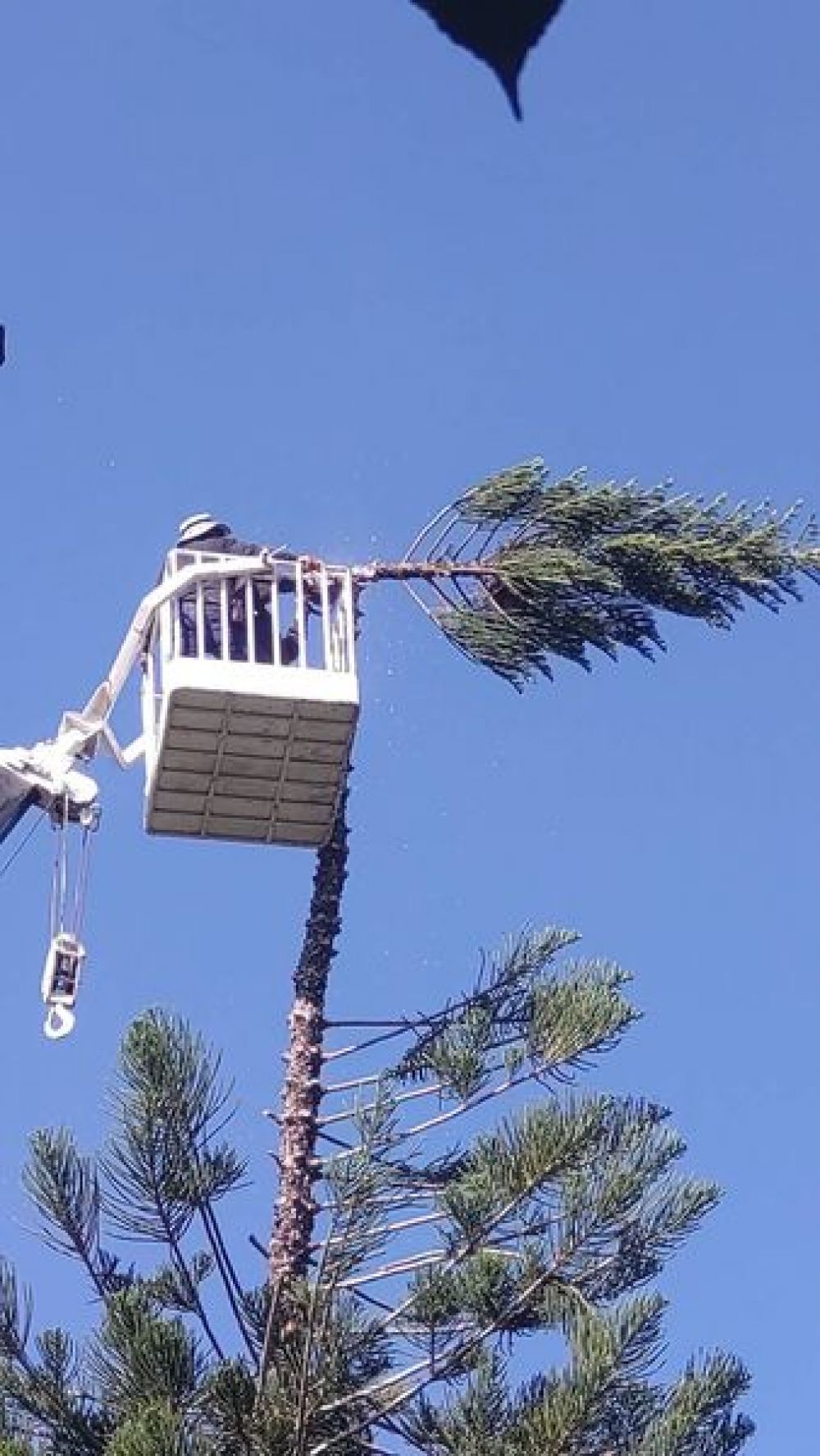 315999014_444444227879467_3442103071488962136_n